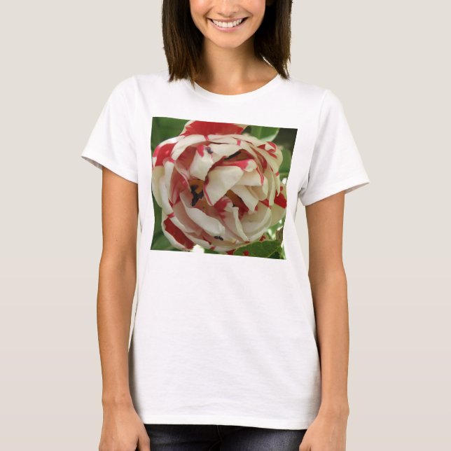 Rosa och White Tulip Dam T Shirt (Framsida)