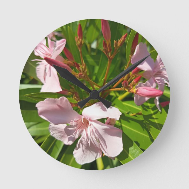 Rosa Oleander Blommig Väggklocka Botanisk Trädgård (Framsida)