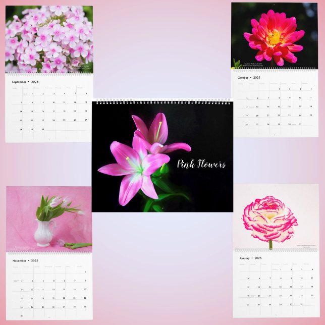Rosa ömtåliga blomster blomkalender kalender (Skapare uppladdad)