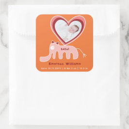 Rosa Orange Elephant Flicka Birth Notice Fyrkantigt Klistermärke