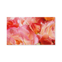 Rosa orange ros blommor visitkort kvinnor