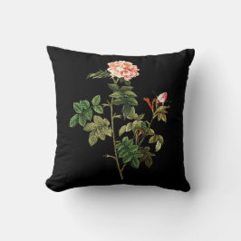 Rosa Orbessanea Dekorativ kudde