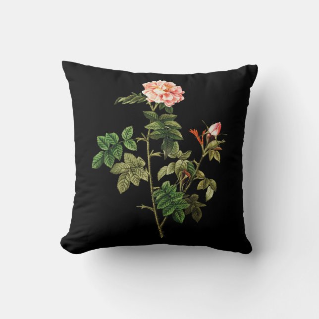 Rosa Orbessanea Dekorativ kudde (Framsida)