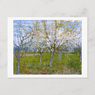 Rosa Orchard (F555) Van Gogh Fine Art Vykort
