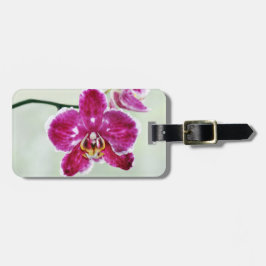 Rosa Orchid Bagagebricka