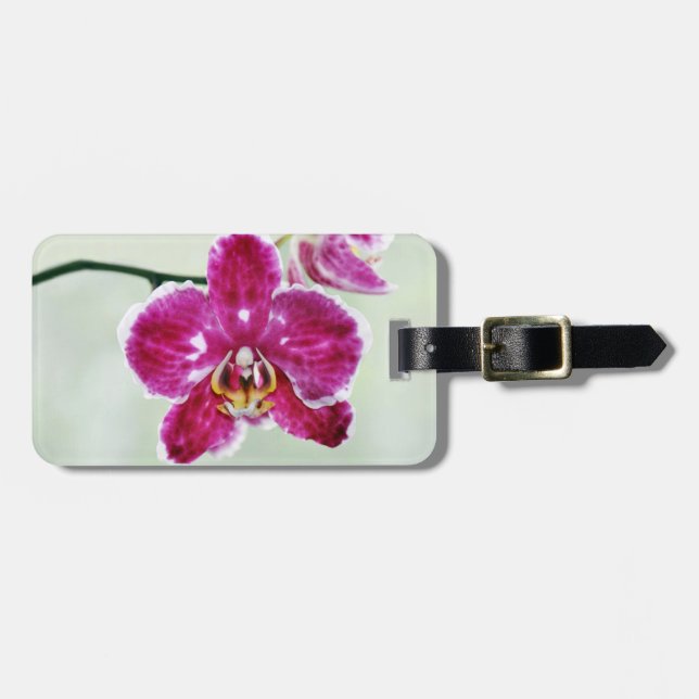 Rosa Orchid Bagagebricka (Horisontell Framsida)