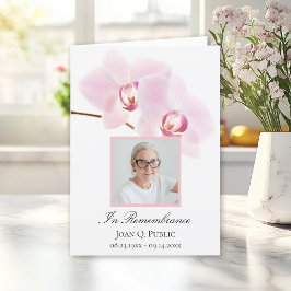 Rosa Orchid-blomma på vit begravningsplats, vikt Program