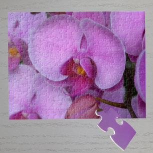 Rosa Orchid-Blommar Botaniskt fotografi Pussel