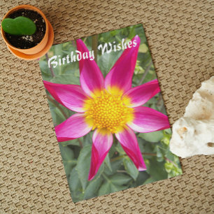 Rosa Orchid Dahlia Blommigt Birthday Kort
