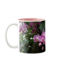 Rosa Orchid Floral Photography