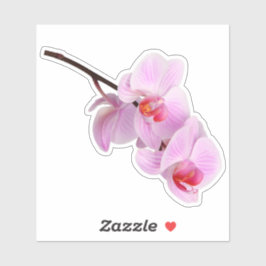 Rosa Orchid Flower Kiss-cut Sticker Klistermärken