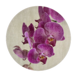 Rosa Orchid Flowers