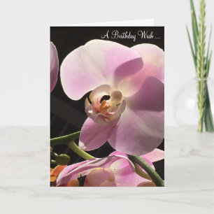 Rosa Orchid Grattis på födelsedagen-kort Kort