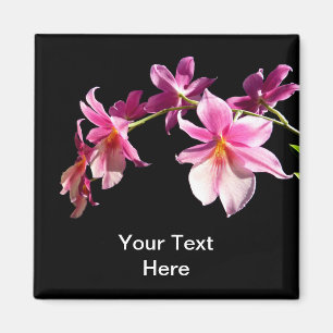 Rosa Orchid. Magnet