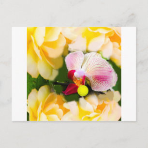 Rosa orchid med tennis boll vykort