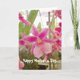 Rosa Orchid Mors dag-kort Kort