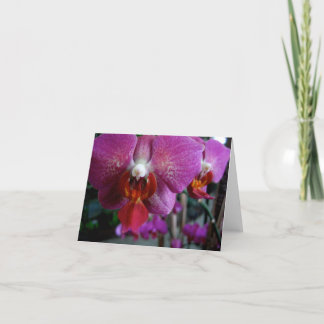 Rosa Orchid Notecard Kort