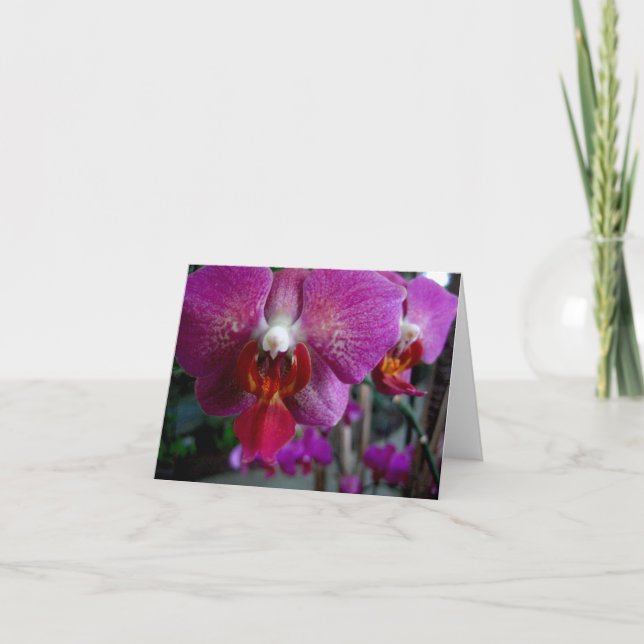 Rosa Orchid Notecard Kort (Framsida)