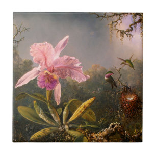 Rosa Orchid och tre Hummingbird Tile Kakelplatta