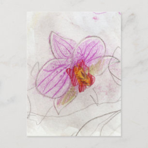 Rosa Orchid Vykort