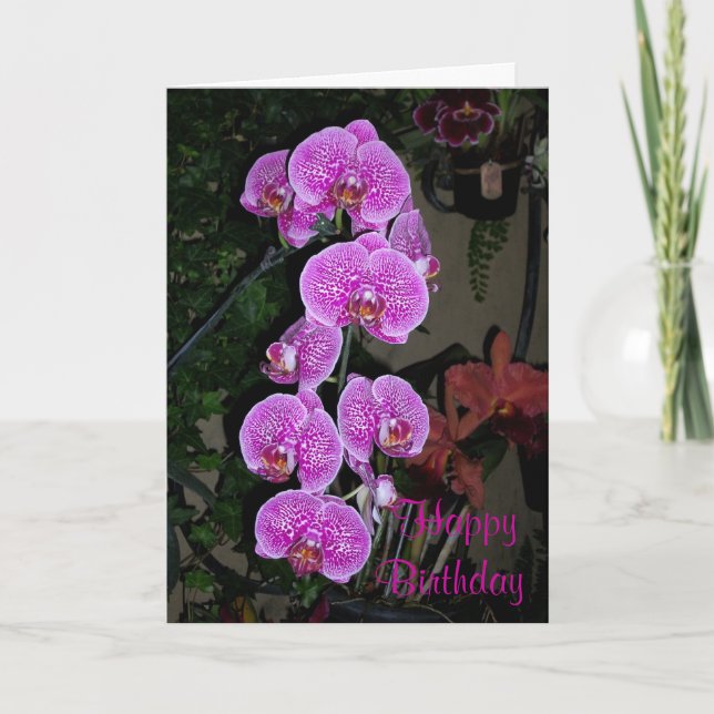 Rosa Orchidfödelsedagkort Kort (Framsida)