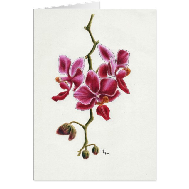 Rosa Orchidkort Hälsningskort (Framsidan)