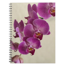 Rosa Orchids Anteckningsbok Med Spiral