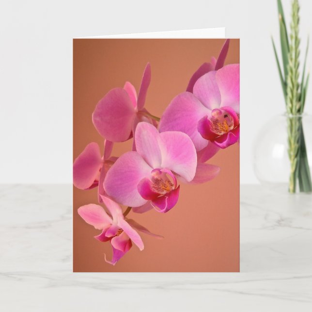 Rosa Orchids Card Kort (Framsida)