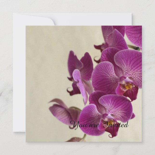 Rosa Orchids Flowers Birthday Inbjudningar (Framsida)