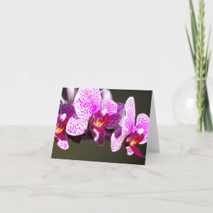 Rosa Orchids Kort