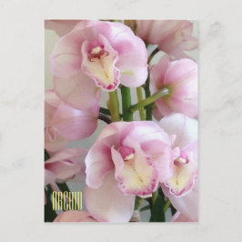 Rosa Orchids Lodrät vykort