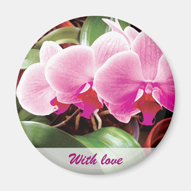 Rosa Orchids Magnet (Framsidan)