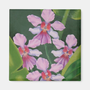 Rosa Orchids Magnet