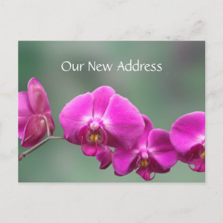 Rosa Orchids Ny adress Meddelande Vykort