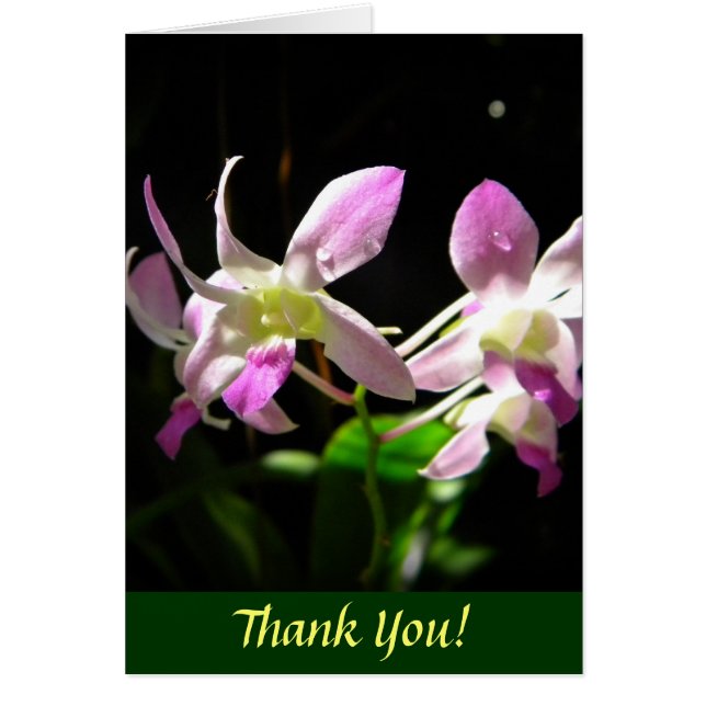 Rosa Orchids OBS Kort (Framsidan)