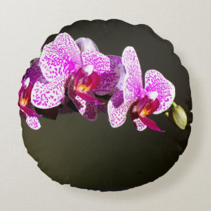 Rosa Orchids Round Dekorativ kudde (16 tum)