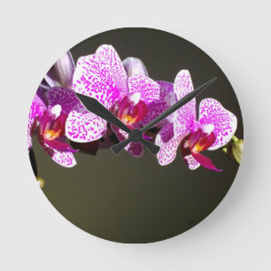 Rosa Orchids Rund Klocka