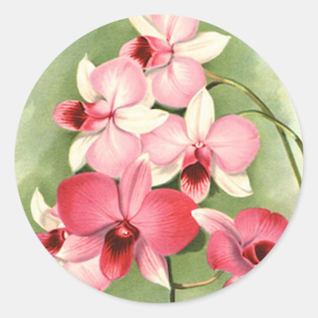 Rosa Orchids - Sticker Runt Klistermärke (Framsida)