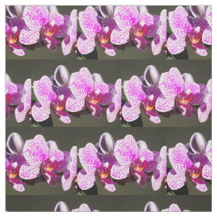 Rosa Orchids Tyg