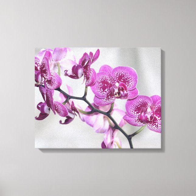 Rosa Orchids Wrapped Canvas (Framsida)