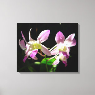 Rosa Orchids Wrapped Canvas