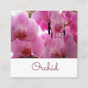 Rosa Orchidsblommor Fyrkantigt Visitkort