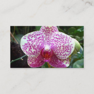 Rosa Orchidvisitkortar Visitkort