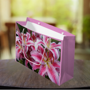 Rosa Oriental Lilies Blommigt