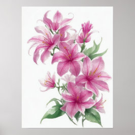 Rosa Oriental Lily Flowers Poster