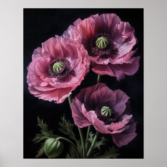 Rosa Oriental Poppy Flowers Art Print Poster (Framsidan)