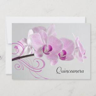 Rosa orkidé elegans Quinceanera-inbjudan Inbjudningar