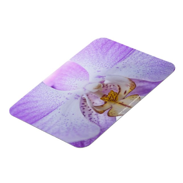 Rosa orkidé magnet (Vänstra Sidan)