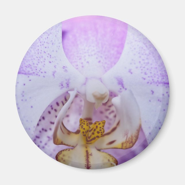 Rosa orkidé magnet (Framsidan)