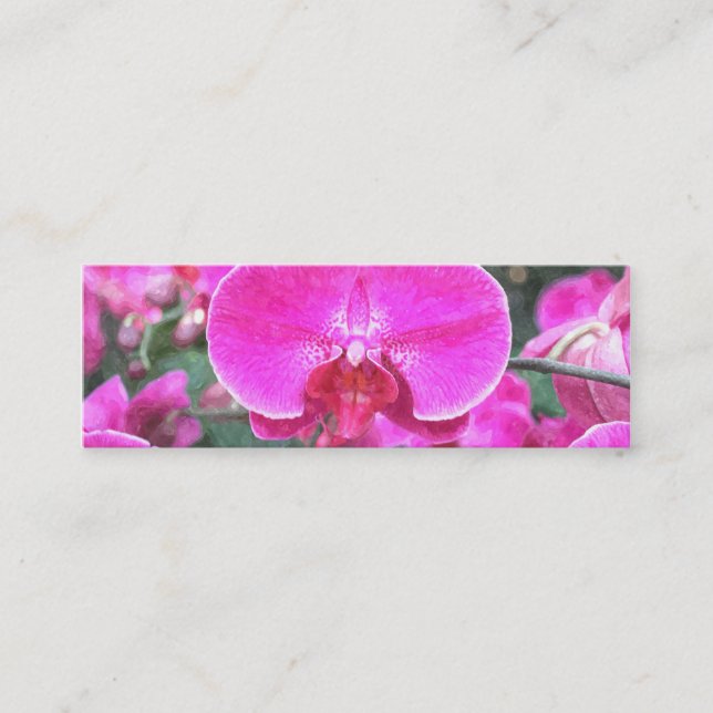 Rosa, orkidéblomma, blomfoto mini visitkort (Framsida)